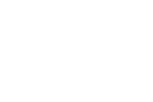 daily-herald-logo-vector